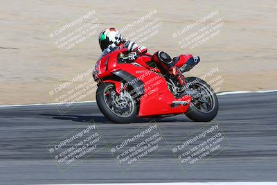 media/Feb-04-2024-SoCal Trackdays (Sun) [[91d6515b1d]]/4-Bowl Backside (11am)/